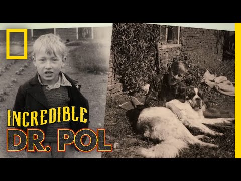 A Streetcar Named Pol | Incredible Tales from Dr. Pol | Nat Geo WILD